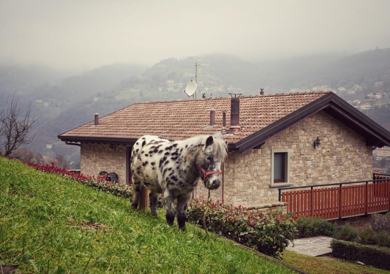 Vila Casa Martina Zogno Exteriér fotografie